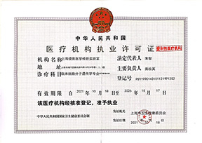 百乐森林舞会官网