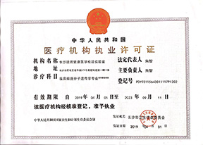 百乐森林舞会官网