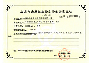 百乐森林舞会官网