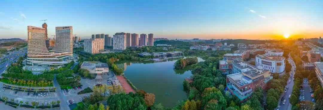 百乐森林舞会官网