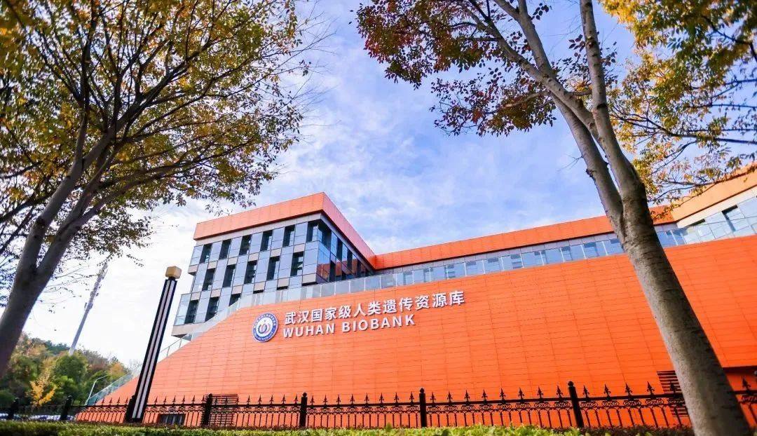 百乐森林舞会官网