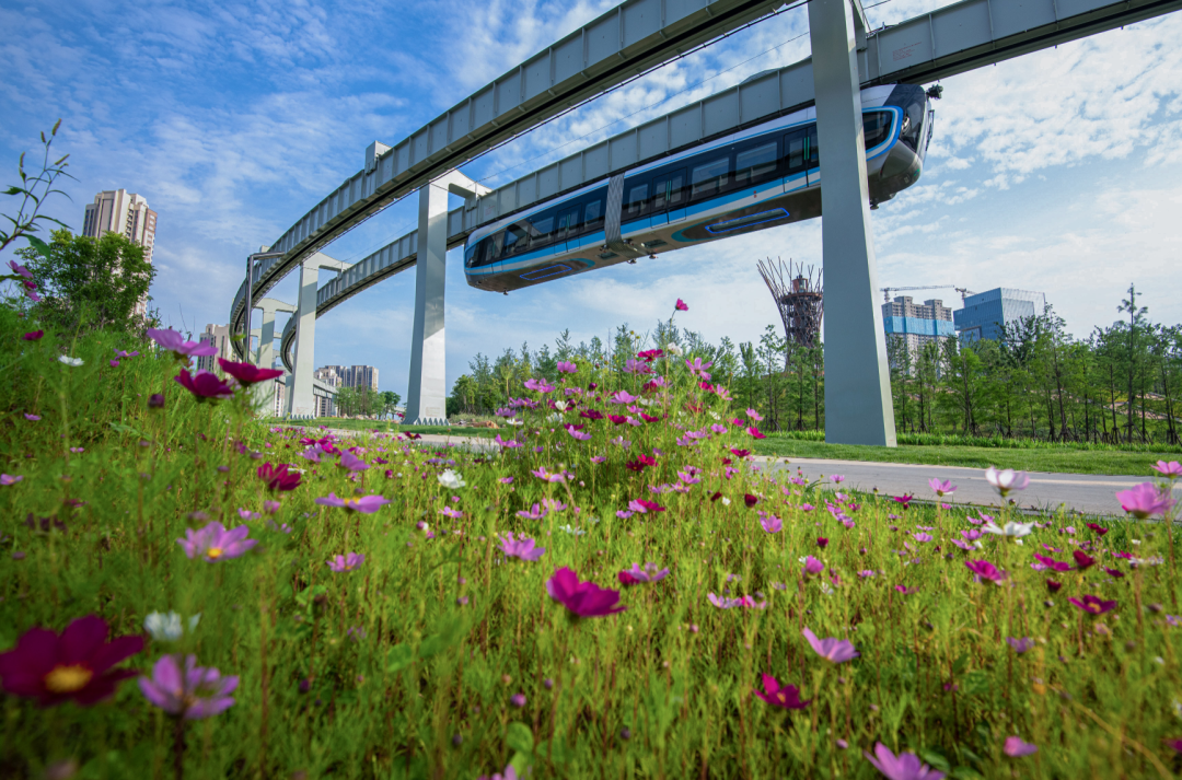 百乐森林舞会官网